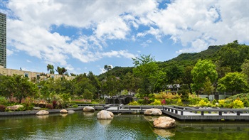 在曲折的混凝土板道上，可以从不同角度欣赏池塘景色。中式园景区外围的植物，视觉上向背后的佛头洲方向伸延。